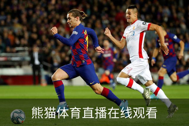 熊猫体育直播在线观看 公司介绍